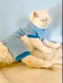 Blue Bunny Kalın Penye Kedi Tulum Pijama - 1