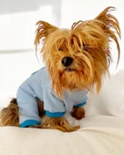 Blue Bunny Kalın Penye Köpek Tulum Pijama - 2