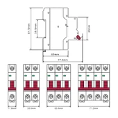 Mutlusan MTS06-1050C 1x50A 6kA C Tipi Otomatik Sigorta - 2