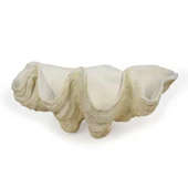 Vitale Polyester İstiridye Duvar Dekoru 24.5*36.5* - 1