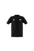 adidas Unisex Çocuk  Siyah  T-shirt J MRVL SM GFX T JF3638 thumbnail 11