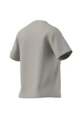 adidas Gri Kadın   T-shirt W SL SJ T JI6079 - 11