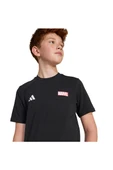 adidas Unisex Çocuk  Siyah  T-shirt J MRVL SM GFX T JF3638 thumbnail 4