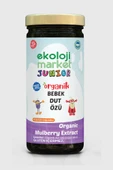 Organik Bebek Dut Özü 290 Gr 3 lü Paket Organic Baby Mulberry Extract 290 Gr 3 Pack - 5
