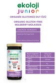 Organik Bebek Dut Özü 290 Gr 3 lü Paket Organic Baby Mulberry Extract 290 Gr 3 Pack - 3
