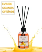 Axodine Mango Bambu Çubuklu Oda Kokusu 100 ML - 1