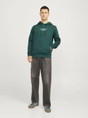 Jack Jones Erkek  Regular Fit Kanguru Cepli Yumuşak Dokulu Yeşil Kapüşonlu Sweatshirt  12216335Y thumbnail 3