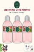 Eyüp Sabri Tuncer Japon Kiraz Çiçeği Cam Şişe Kolonya 3 Adet 400 ml ve ROSIE thumbnail 1