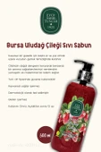 Eyüp Sabri Tuncer Bursa Uludağ Çileği Sıvı Sabun 500 ml 3 Adet ve ROSIE Pamuk thumbnail 2