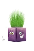 Acousticworld Çim Adam Mini Küp Emoji Figürlü 1 Adet - 3