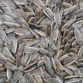 Ay Çekirdeği İthal Çiğ 500 G thumbnail 6