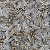 Ay Çekirdeği İthal Tuzlu 500 G thumbnail 6