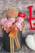 SOLE Premium Özel Hediye Kutusunda  45 cm Bunny Tavşan ve 5 Adet Pembe Peluş Ayıcık Buketi thumbnail 3