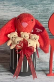 SOLE Premium Özel Hediye Kutusunda 45 cm Mercan Bunny Tavşan ve 5 Adet Krem Peluş Ayıcık Buketi - 6