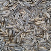 Ay Çekirdeği İthal Tuzsuz 500 G thumbnail 6