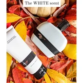 Ford Mustang for men eau de toılett  vaporısateur sprey 100 ml. e + Haır & Body Wash 150 ml. e thumbnail 2