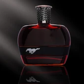 Ford Mustang for men eau de toılett  vaporısateur sprey 100 ml. e + Haır & Body Wash 150 ml. e thumbnail 3