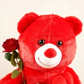 Gül ve Kalp Ayıcık Seti - 2