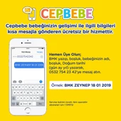 Bebelac Bebek Devam Sütü No1 250gr - 9