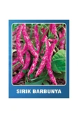 Tarımsal ve Hayvansal Ürünler 200 Adet Sırık Fasulye Barbunya Ata Tohumu thumbnail 1