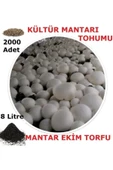 TohumGübre 2000 Adet Beyaz Şapkalı Kültür Mantarı Tohumu + 8 Litre Mantar Ekim Torfu Ve Mantar Ekim Yönergesi - 2