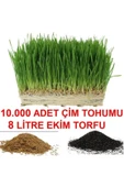 TohumGübre 10.000 Adet Çim Tohumu Ve De 8 Litre Çim Ekim Torfu Toprak - 1