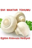 TohumGübre 100 Ml Beyaz Şapkalı Kültür Mantarı Miseli (mantar Tohumu) - 1