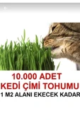 TohumGübre 1 M2 Alana Yetecek Kadar Kedi Yemi Çim Tohumu - 1