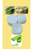 Tarımsal ve Hayvansal Ürünler Bitki Çeliği Kökleme Kremi Hormonu - 1