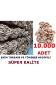 TohumGübre 10.000 Adet Istiridye Kavak Kayın Mantarı Tohumu - 1
