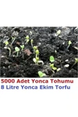 TohumGübre 5000 Adet Yonca Tohumu Ve 8 Litre Ekim Torfu - 2