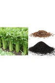 TohumGübre 5000 Adet Geniş Yapraklı Köylü Maydanoz Tohumu Ve 8 Litre Maydanoz Ekim Torfu thumbnail 2