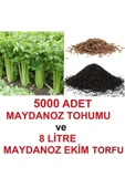 TohumGübre 5000 Adet Geniş Yapraklı Köylü Maydanoz Tohumu Ve 8 Litre Maydanoz Ekim Torfu thumbnail 1