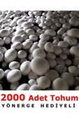 TohumGübre 2000 Adet Beyaz Şapkalı Kültür Mantarı Tohumu thumbnail 1