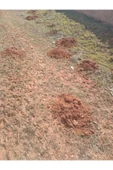 Doğal Kösnü Köstepek Ocağı Toprağı - 4