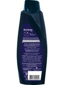 Blendax Erkekler İçin Mentol Ferahlığı Nane Özlü Şampuan 500 Ml - 3