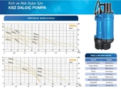 KBZ 31,5 DMD DALGIÇ POMPA 2HP 380 thumbnail 2