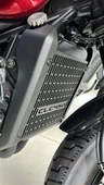 CF Moto CL-C 450 Radyatör Koruma - 3