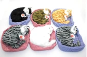 Horlayan Nesef Alıp Veren Yastıkda Uyuyan Kedi Sesli Alk3416 - 1