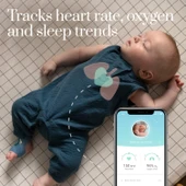 Owlet Smart Sock / Akıllı Çorap Gece Mavisi - 2