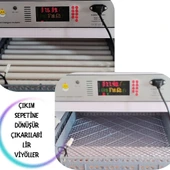Kaz Uyumlu Kabin Tip Kuluçka Makinesi | 128 Yumurtalık Kapasiteli - 11
