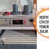 Kaz Uyumlu Kabin Tip Kuluçka Makinesi | 64 Yumurtalık Kapasiteli - 7