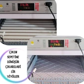 Kaz Uyumlu Kabin Tip Kuluçka Makinesi | 64 Yumurtalık Kapasiteli - 8