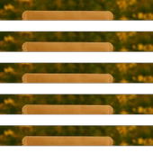 Sarı Kantaron Çiçeği 50 gr thumbnail 1