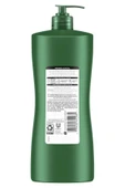 Suave Avokado ve Zeytinyağlı Yumuşatıcı Saç Kremi 828ML - 2