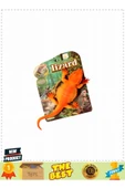 Hj058-1 Pvc Vantuzlu Duvar Kertenkelesi -birliktoys Kız Erkek Çocuk Oyuncakları Eğitici Oyunc - 5
