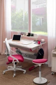 Creo Mobili Yükseklik ve Eğim Ayarlı, Sirius Premium Plus Bilgisayar, Çalışma Masası Seti Ekru/Fuşya thumbnail 4