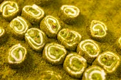 AFYON SULTAN ANTEP FISTIKLI LOKUM 1KG - 4