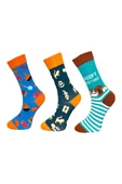 3'lü Unisex Esnek Nem Alabilen Pamuklu Renkli Ve Desenli Soket Çoraplar thumbnail 1