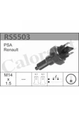 VERNET Rs5503 7700591730 7700732506 7701348716 Gerı Vıtes Musuru R9 R11 R21 Ax B - 1